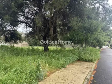 住宅 576m<sup>2</sup> for sale photo 3