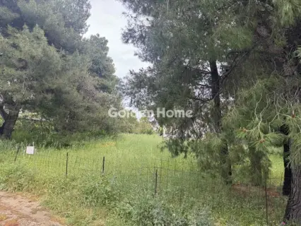 住宅 576m<sup>2</sup> for sale photo 4