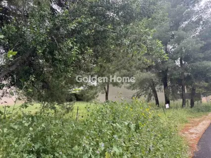 住宅 576m<sup>2</sup> for sale photo 5