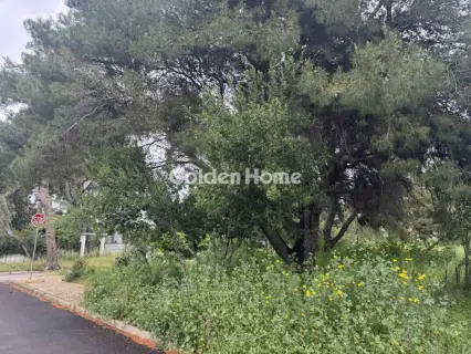 住宅 576m<sup>2</sup> for sale photo 7