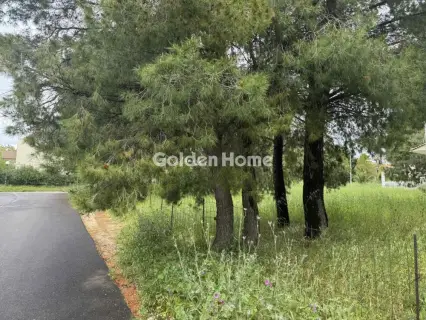 住宅 576m<sup>2</sup> for sale photo 8