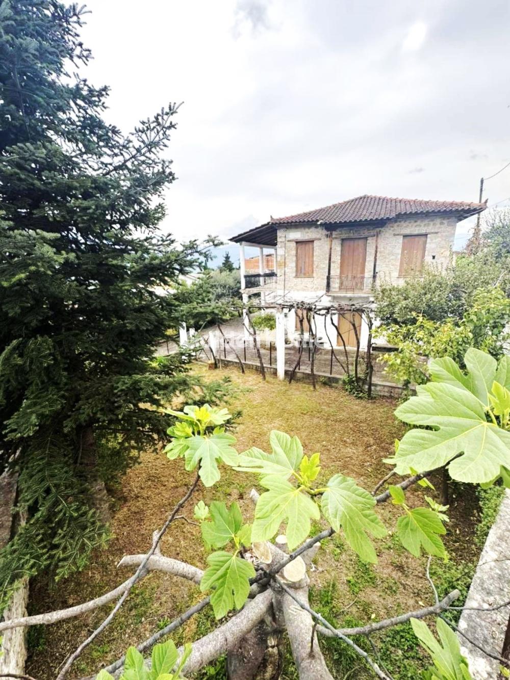 房子 403m<sup>2</sup> for sale display photo