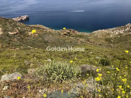 土地 6010m<sup>2</sup> for sale photo 2