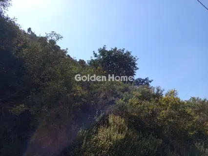 Residential 8050m<sup>2</sup> for sale photo 5397566