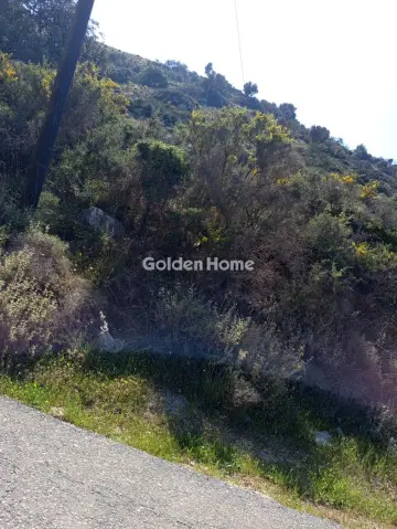 Residential 8050m<sup>2</sup> for sale photo 5397567