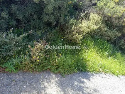 Residential 8050m<sup>2</sup> for sale photo 5397567