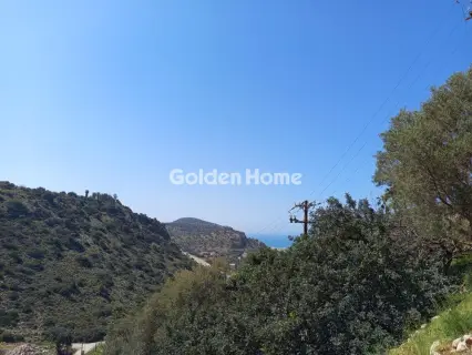 Residential 8050m<sup>2</sup> for sale photo 5397571