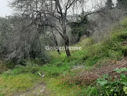 Residential 1005m<sup>2</sup> for sale photo 5389307