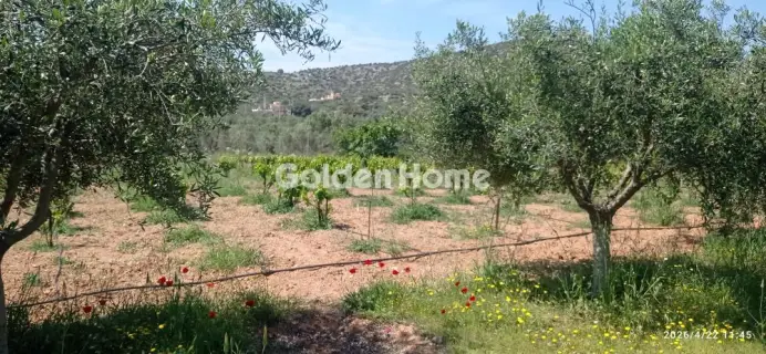 Parcel 3500m<sup>2</sup> for sale photo 5389961