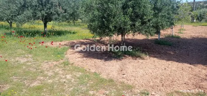 Parcel 3500m<sup>2</sup> for sale photo 5389962