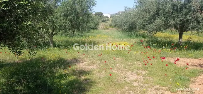 Parcel 3500m<sup>2</sup> for sale photo 5389964