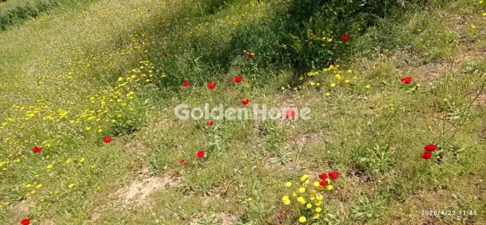 Parcel 3500m<sup>2</sup> for sale photo 5389966