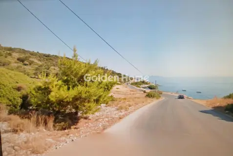 专业 15500m<sup>2</sup> for sale photo 5392602