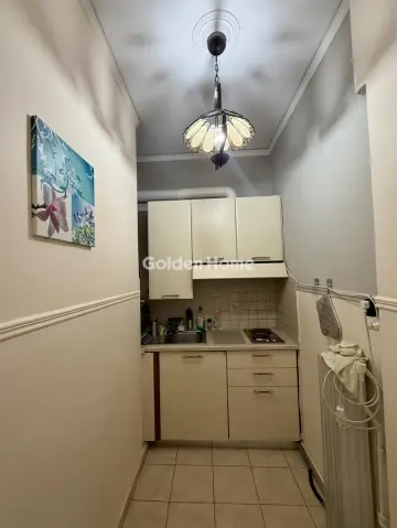 Studio 30m<sup>2</sup> for sale photo 11