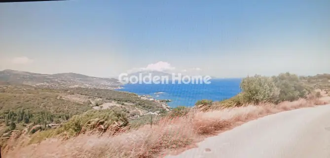 专业 17500m<sup>2</sup> for sale photo 1