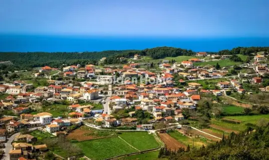 专业 17500m<sup>2</sup> for sale photo 2