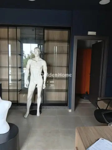 店铺 60m<sup>2</sup> for rent photo 3