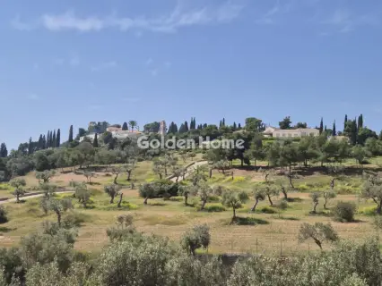 住宅 1100m<sup>2</sup> for sale photo 5395083