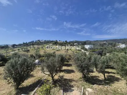 Residential 1100m<sup>2</sup> for sale photo 5395081