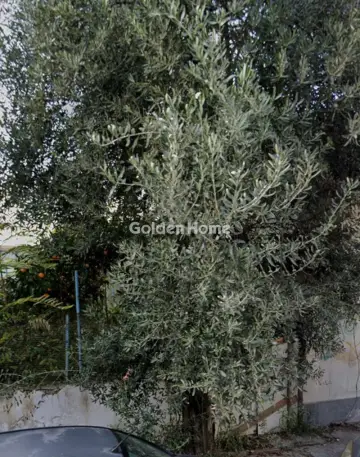 Residential 160m<sup>2</sup> for sale photo 5391155