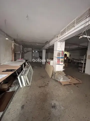 Industrial 270m<sup>2</sup> for rent photo 4