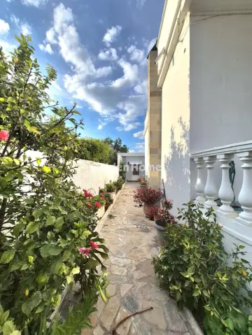 Μονοκατοικία 167τ.μ. προς πώληση φωτογραφία 12