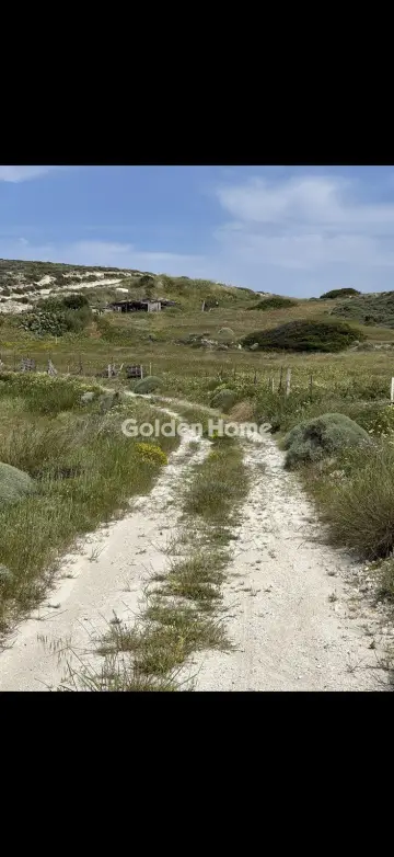 Αγροτεμάχιο 6000τ.μ. προς πώληση φωτογραφία 3