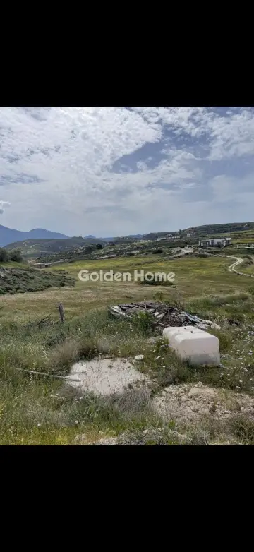 Αγροτεμάχιο 6000τ.μ. προς πώληση φωτογραφία 5