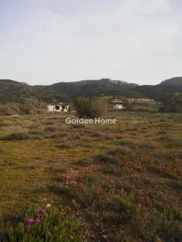 Residence complex 400m<sup>2</sup> for sale photo 5392882