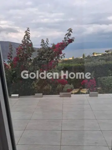 独立复式小屋 220m<sup>2</sup> for sale photo 10