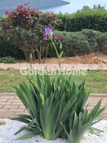 独立复式小屋 220m<sup>2</sup> for sale photo 11