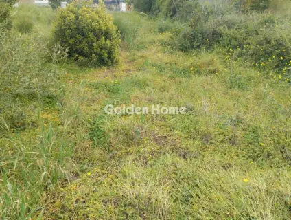 住宅 1000m<sup>2</sup> for sale photo 1