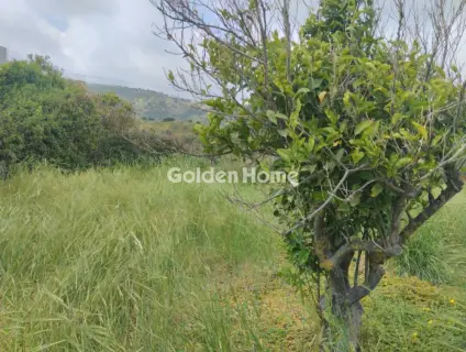 住宅 1000m<sup>2</sup> for sale photo 2