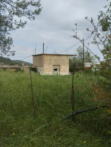 住宅 1000m<sup>2</sup> for sale photo 3