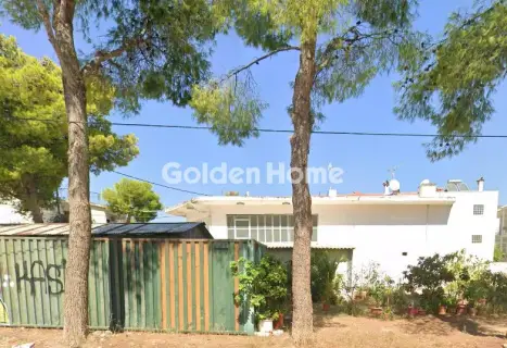 专业 471m<sup>2</sup> for sale photo 5394322