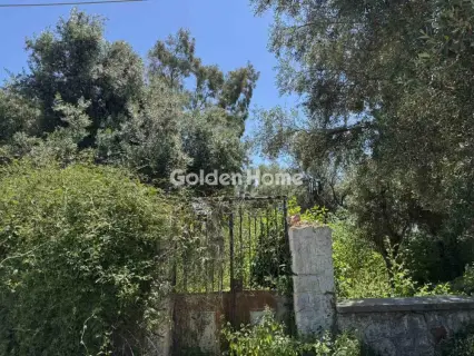 Residential 356m<sup>2</sup> for rent photo 1