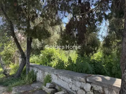 Residential 356m<sup>2</sup> for rent photo 2