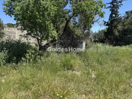 Residential 356m<sup>2</sup> for rent photo 5402113