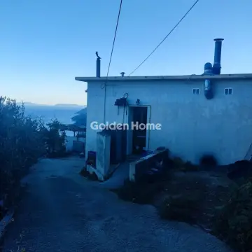 独立建筑 320m<sup>2</sup> for sale photo 5394410