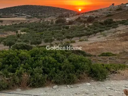 Αγροτεμάχιο 13900τ.μ. προς πώληση φωτογραφία 5402451