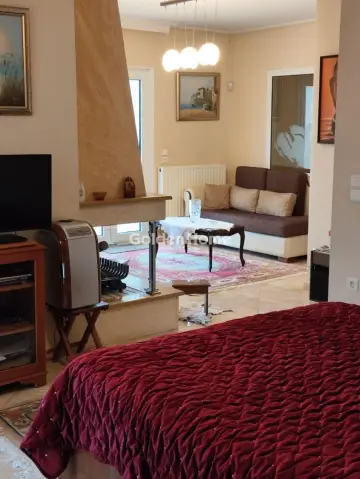 Οικία 460τ.μ. προς πώληση φωτογραφία 26