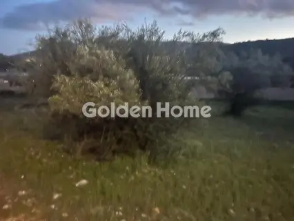 住宅 6400m<sup>2</sup> for sale photo 5404273