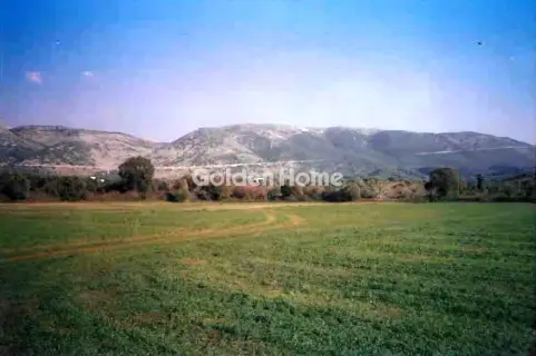 Αγροτεμάχιο 10000τ.μ. προς πώληση φωτογραφία 5407937
