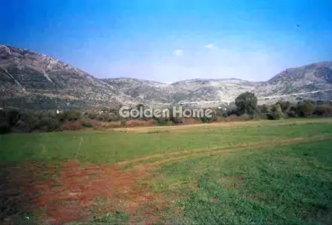 Αγροτεμάχιο 10000τ.μ. προς πώληση φωτογραφία 5407938