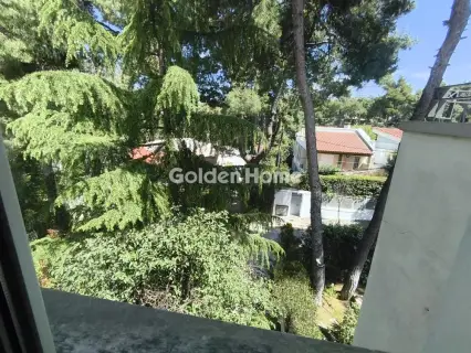 Μονοκατοικία 309τ.μ. προς πώληση φωτογραφία 2