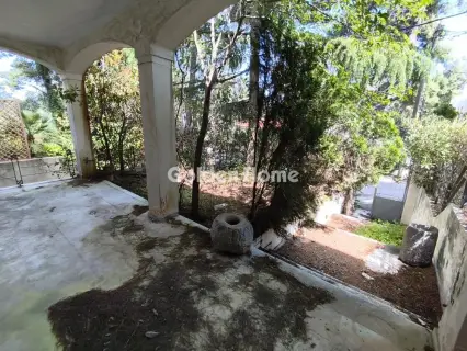 Μονοκατοικία 309τ.μ. προς πώληση φωτογραφία 1