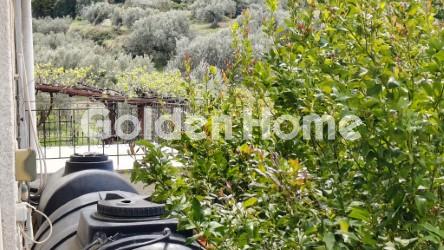 Κτήριο στην Αθίκια, Σαρωνικός — Φωτογραφία 39 από 45
