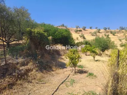 Residential 8000m<sup>2</sup> for sale photo 5398413