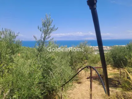 Residential 8000m<sup>2</sup> for sale photo 5398412