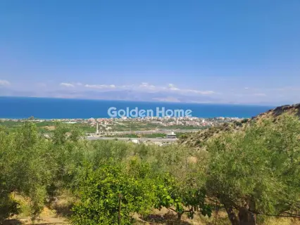 Residential 8000m<sup>2</sup> for sale photo 5398408